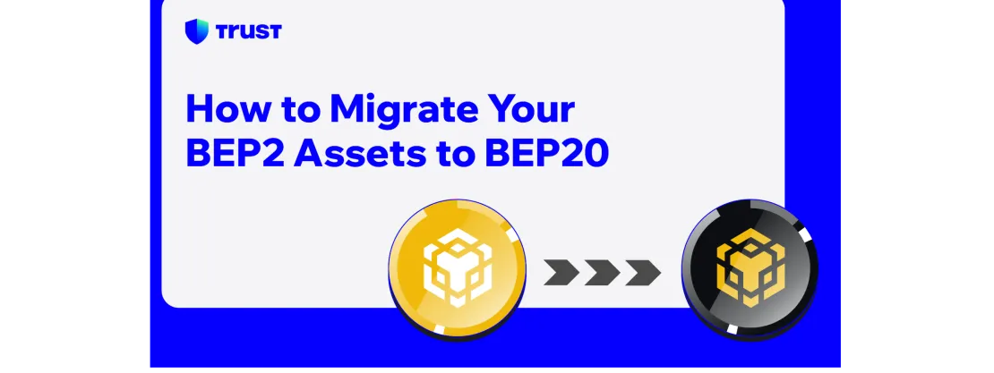 بایننس شبکه های بایننس شبکه ارز دیجیتال